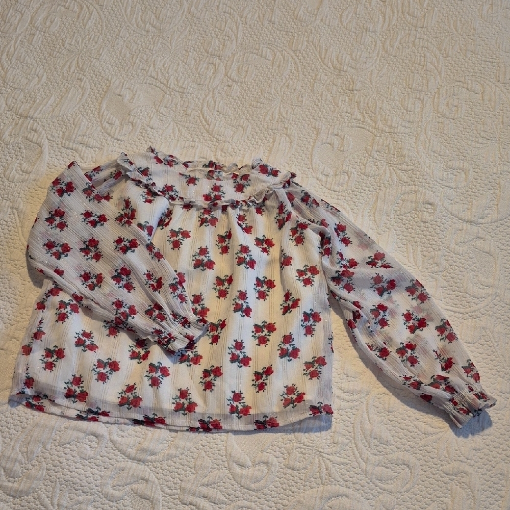 Janie and Jack girls size 5 rose print blouse, body is lined sleeves sheer VGUC